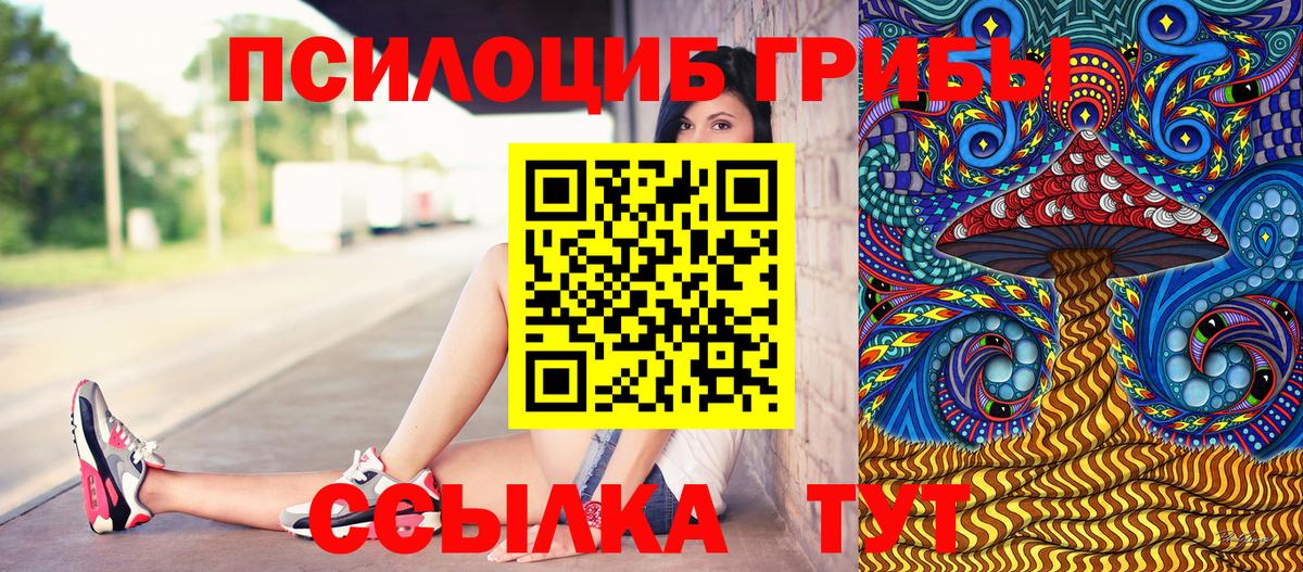 Петропавловск-Камчатский  Галлюциногенные грибы GOLDEN TEACHER  цена   Вход с VPN 