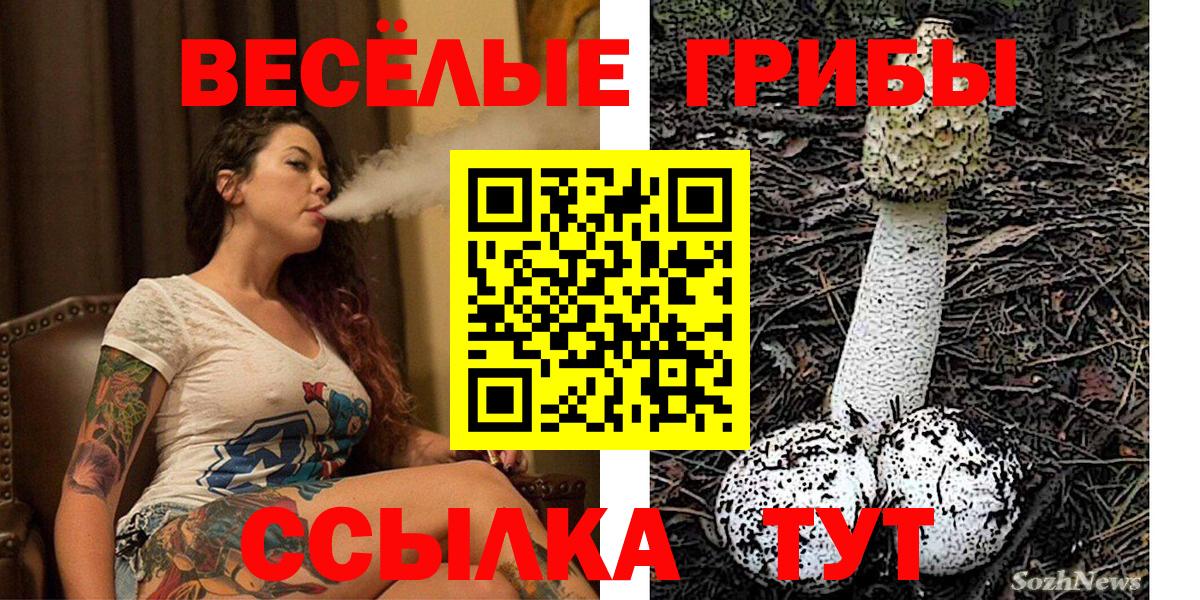 Псилоцибиновые грибы мицелий Петропавловск-Камчатский